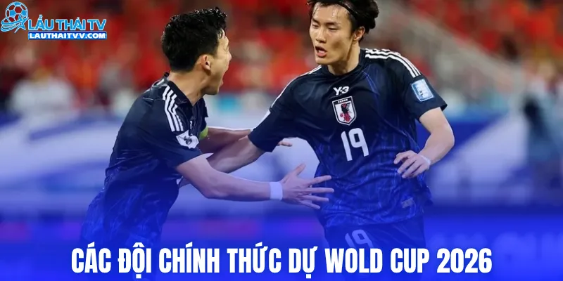 Các đội chính thức dự Wold Cup 2026