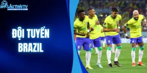 Đội Tuyển Brazil - Những Huyền Thoại Của Nền Bóng Đá Nam Mỹ