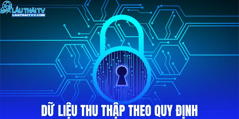 Dữ liệu thu thập theo quy định