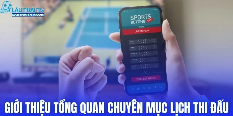 Giới thiệu tổng quan chuyên mục lịch thi đấu